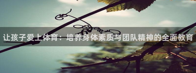 J9官方正版app娱乐是那个系列的台子：让孩子爱上体