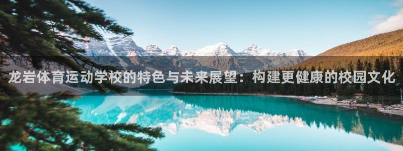 J9官网下载软件：龙岩体育运动学校的特色与未来展望：构建更健