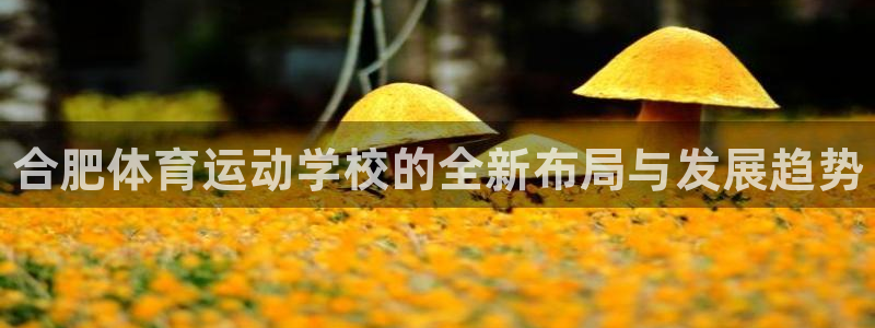 J9官方正版app娱乐首页网站大全：合肥体育运动学校的全新布