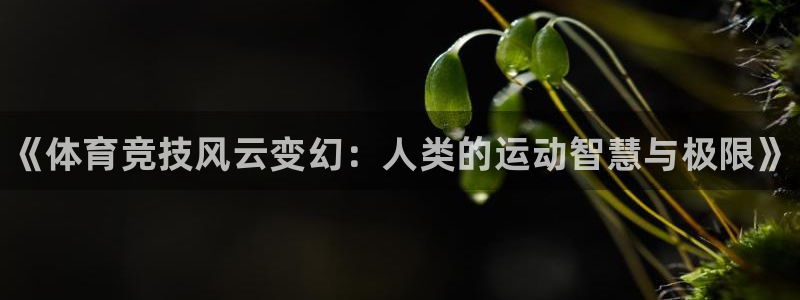 J9官网下载平台假的吗是真的吗吗：《体育竞技风云变幻