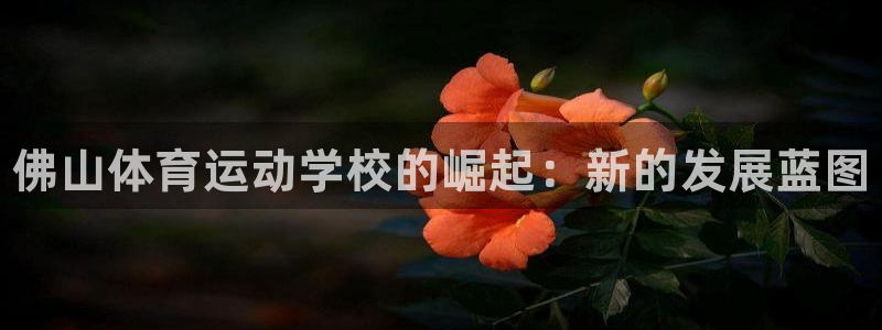 J9官方正版app集团E.ON：佛山体育运动学校的崛