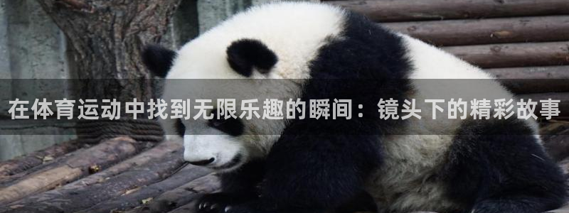 J9官方正版app集团官网首页：在体育运动中找到无限乐趣的瞬
