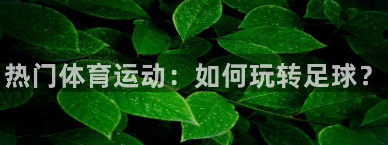 J9官网下载招商电话号码：热门体育运动：如何玩转足球