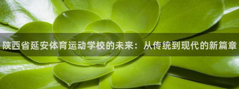 J9官网下载招商：陕西省延安体育运动学校的未来：从传