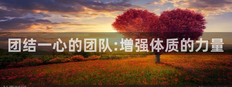 J9官方正版app新能源：团结一心的团队:增强体质的