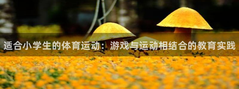 J9官网下载平台注册流程图：适合小学生的体育运动：游
