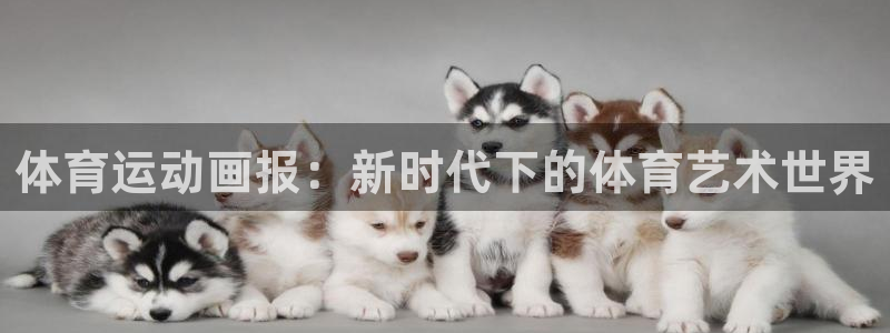 J9官方正版app集团E.ON：体育运动画报：新时代