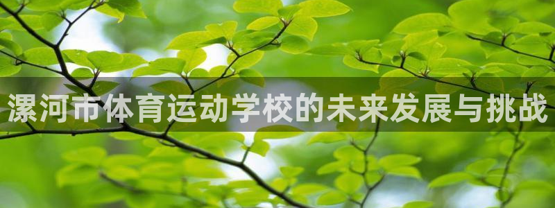 J9官方正版app娱乐代理怎么样：漯河市体育运动学校