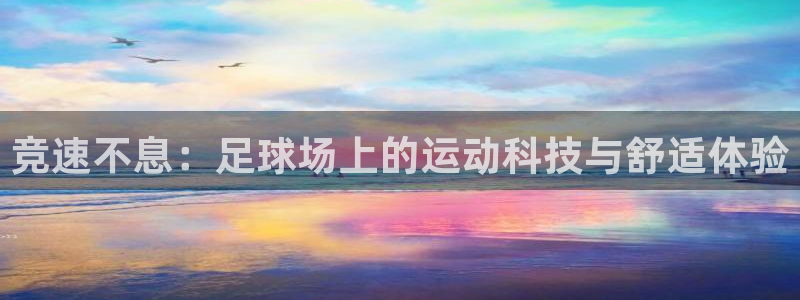 J9官方正版app娱乐首页官网下载：竞速不息：足球场