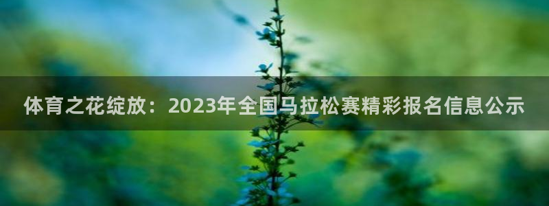 J9官方正版app娱乐首页网站大全：体育之花绽放：2