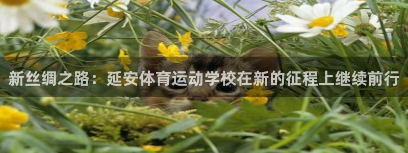 J9官网下载平台APP：新丝绸之路：延安体育运动学校