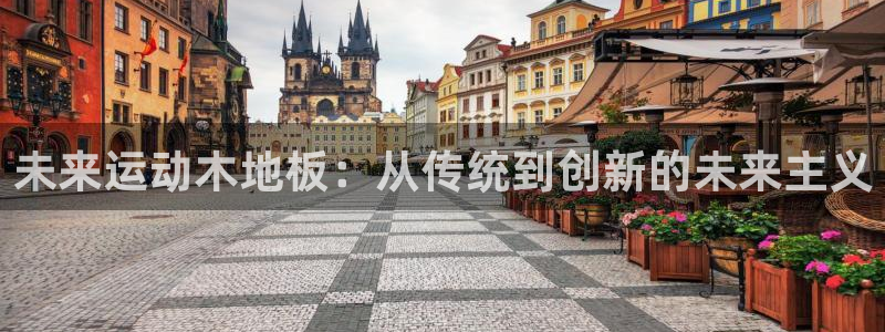 J9官方正版app集团官网网址：未来运动木地板：从传