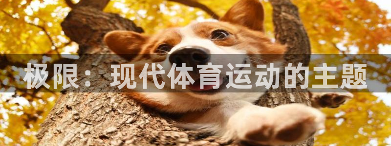 J9官网下载平台假的吗是真的吗吗：极限：现代体育运动的主题