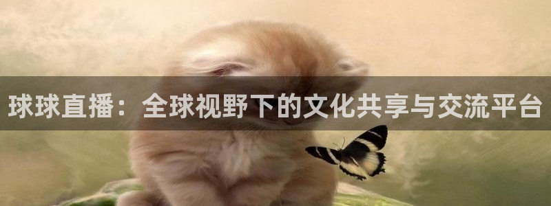 蜘蛛体育直播小狐狸：球球直播：全球视野下的文化共享与交流平台