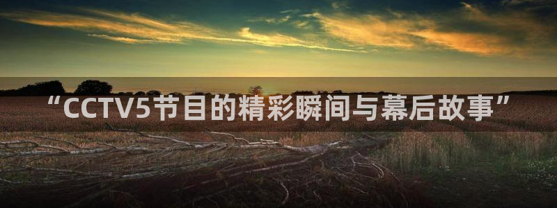 蜘蛛直播nba在线观看：“CCTV5节目的精彩瞬间与幕后故事”