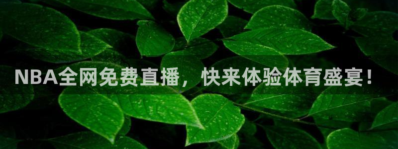 蜘蛛直播体育：NBA全网免费直播，快来体验体育盛宴！