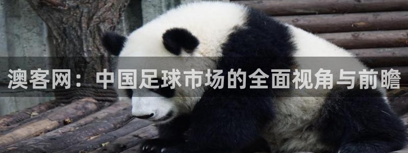 nba蜘蛛直播免费直播在线直播：澳客网：中国足球市场的全面视角与前瞻