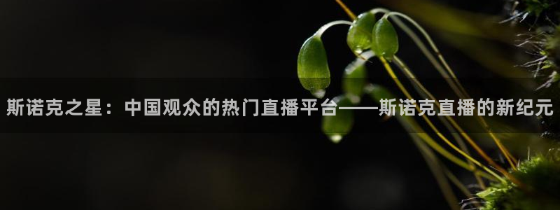 nba蜘蛛：斯诺克之星：中国观众的热门直播平台——斯诺克直播的新纪元