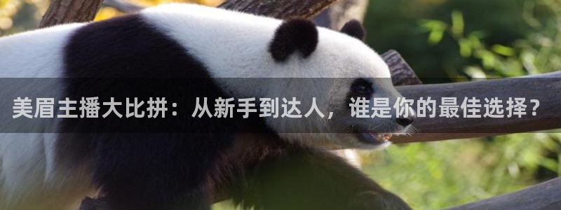 蜘蛛体育免费直播nba：美眉主播大比拼：从新手到达人，谁是你的最佳选择？