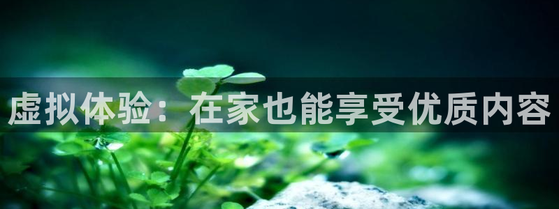 蜘蛛直播 nba：虚拟体验：在家也能享受优质内容
